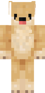 dog v5