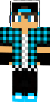 4t3