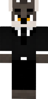Mr. X