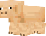 Brown pig