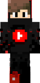 slaicPro_2007