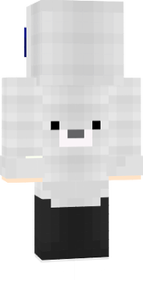 CraftLandia Skin