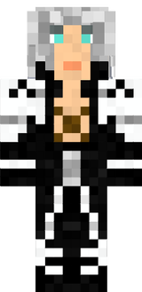 skin