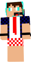 neerd_gamer11