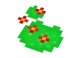 Lilly Pad Whit Red Flowers
