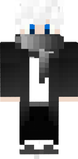 zNefronik
