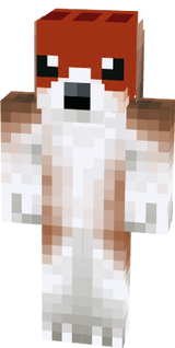 Beagle Dog