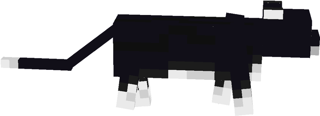 Preview of texture: cat