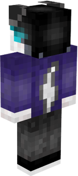 snerr
