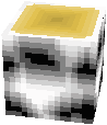 Cute Birch Log