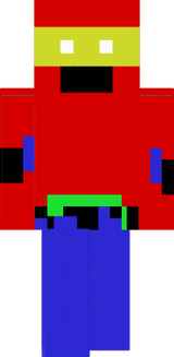 Ninja Pil