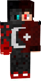 skin
