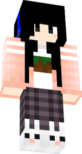 ddss