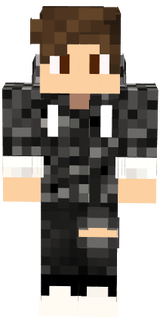skin 2