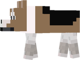 welsh corgi