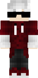SKIN ZDN MRA