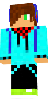 sneik