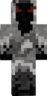 entity.303