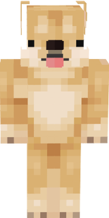 DOGE