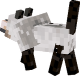 gvnh
