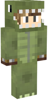 skin