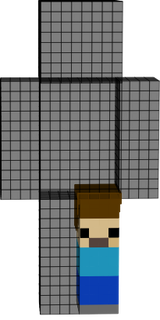 MINI STEVE