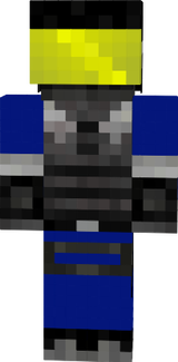 SKINSTORAGE
