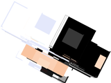 skin 100