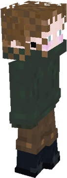 Full Simple GooseForest Skin