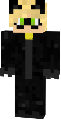 Preview of texture: chatnoir