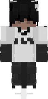 MINECRAFT SKIN