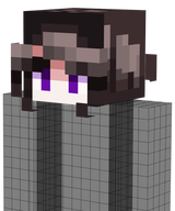 pureshorthair