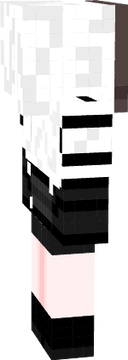 assasin skin