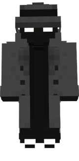 Enderman Investigator