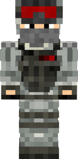 Army Combat