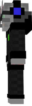 gato_bedrock