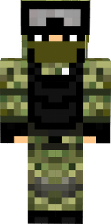 skin