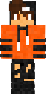 Puscel2