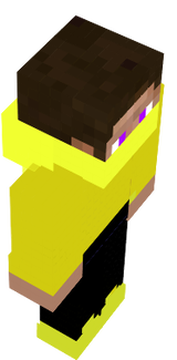 Shadow litvin