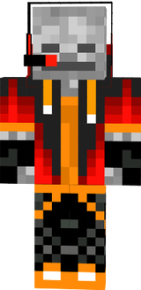 skin
