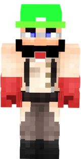 mario fortress 2 luigi