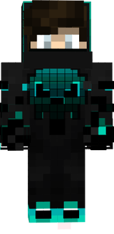 Skinn
