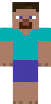 Preview of texture: summer steve