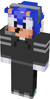 Preview of texture: sonicwalter