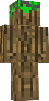 woods