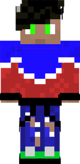 TOP SKIN
