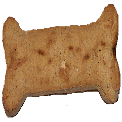 Preview of texture: Dog bone treat