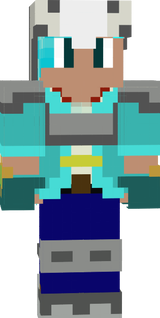 sky1.1