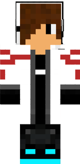 Mega_chip