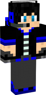 official sl skin 